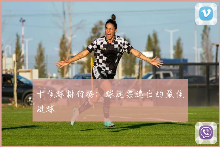十佳球排行榜：球迷票选出的最佳进球